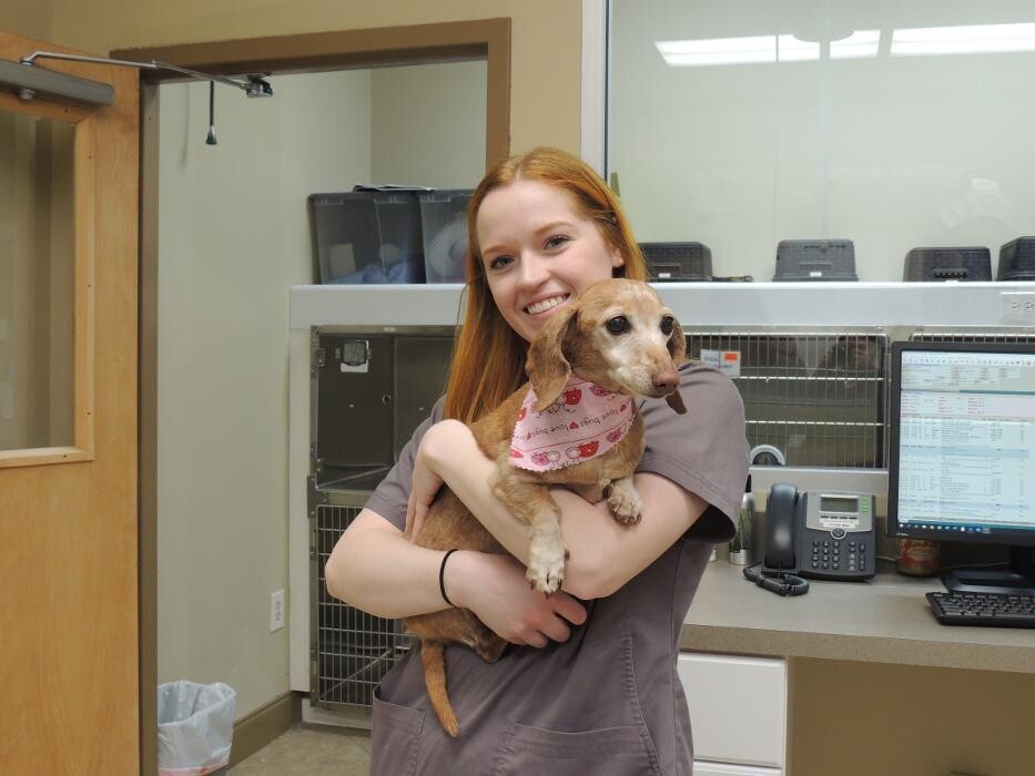 Images Apalachee Ridge Animal Hospital