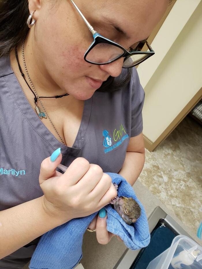 Images Apalachee Ridge Animal Hospital