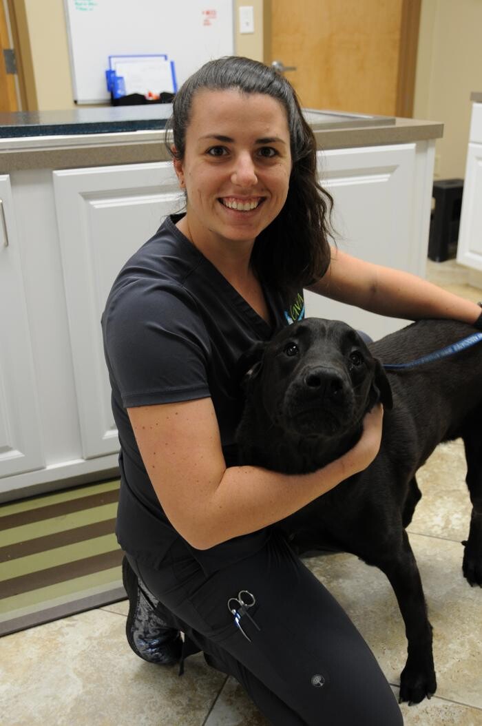 Images Apalachee Ridge Animal Hospital