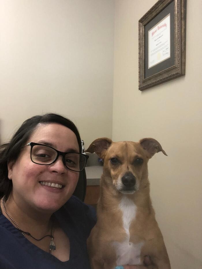Images Apalachee Ridge Animal Hospital