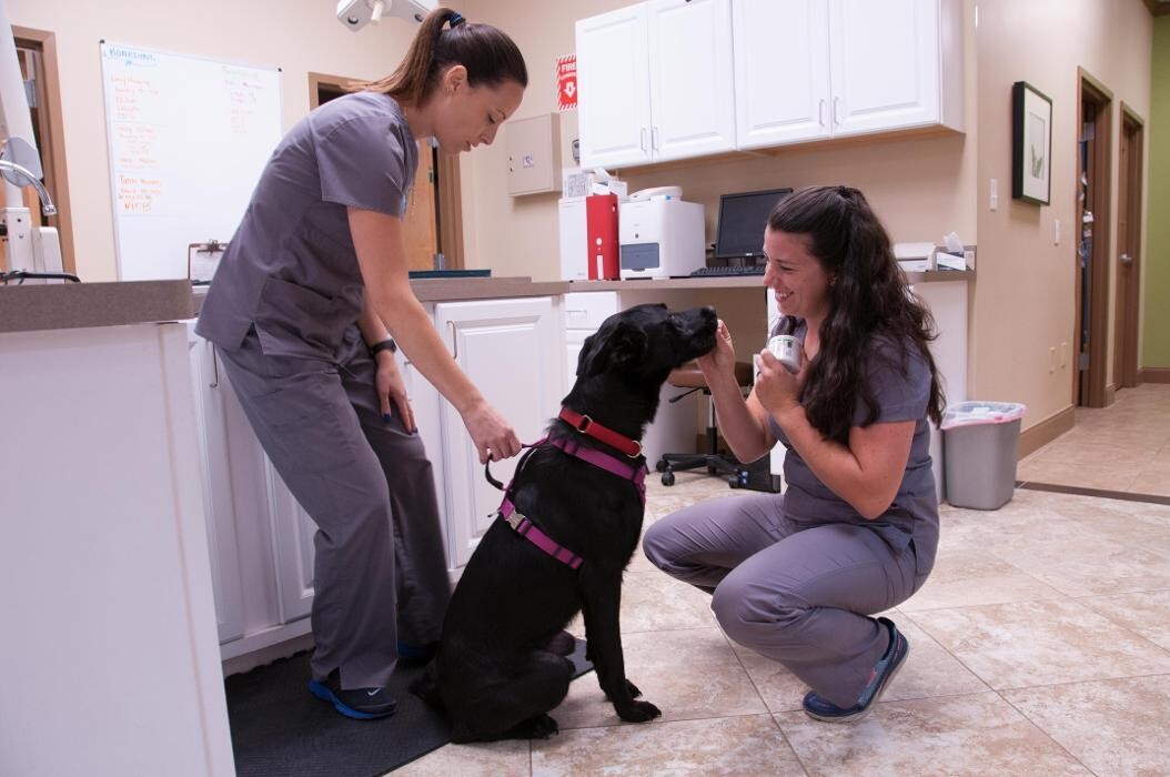 Images Apalachee Ridge Animal Hospital