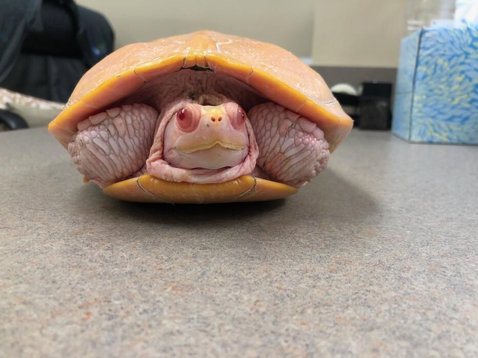 Images Apalachee Ridge Animal Hospital