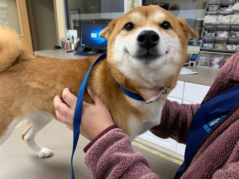 Images Apalachee Ridge Animal Hospital