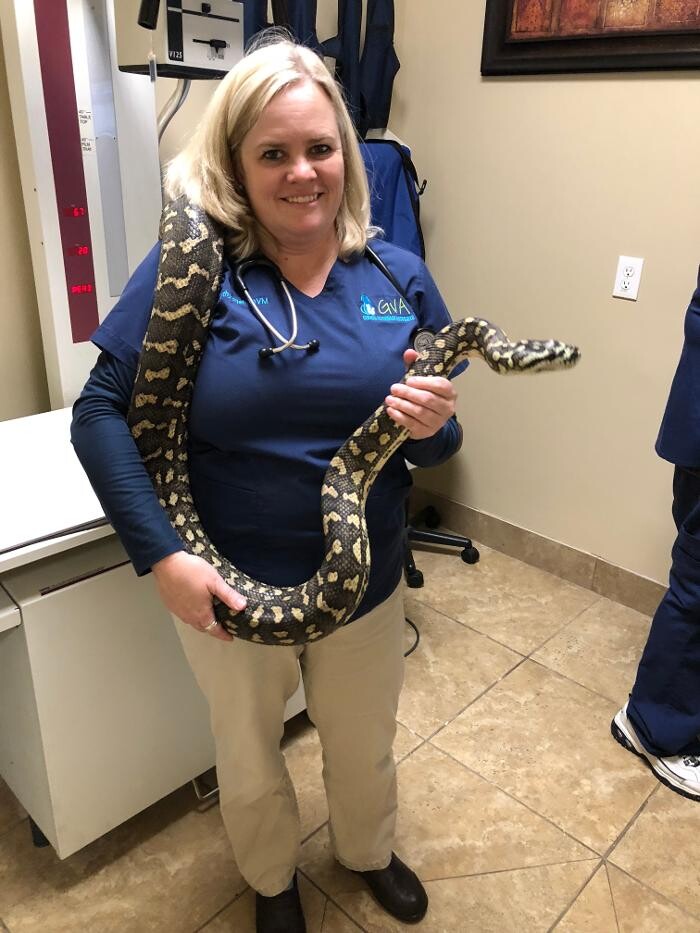 Images Apalachee Ridge Animal Hospital