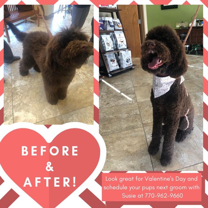 Images Apalachee Ridge Animal Hospital