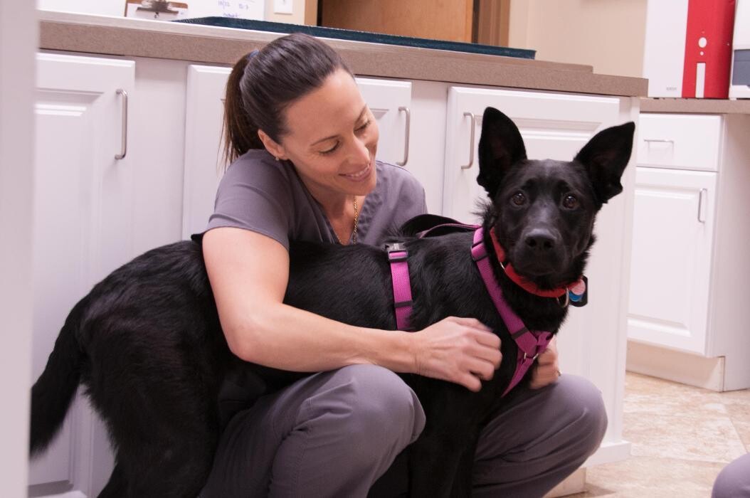 Images Apalachee Ridge Animal Hospital