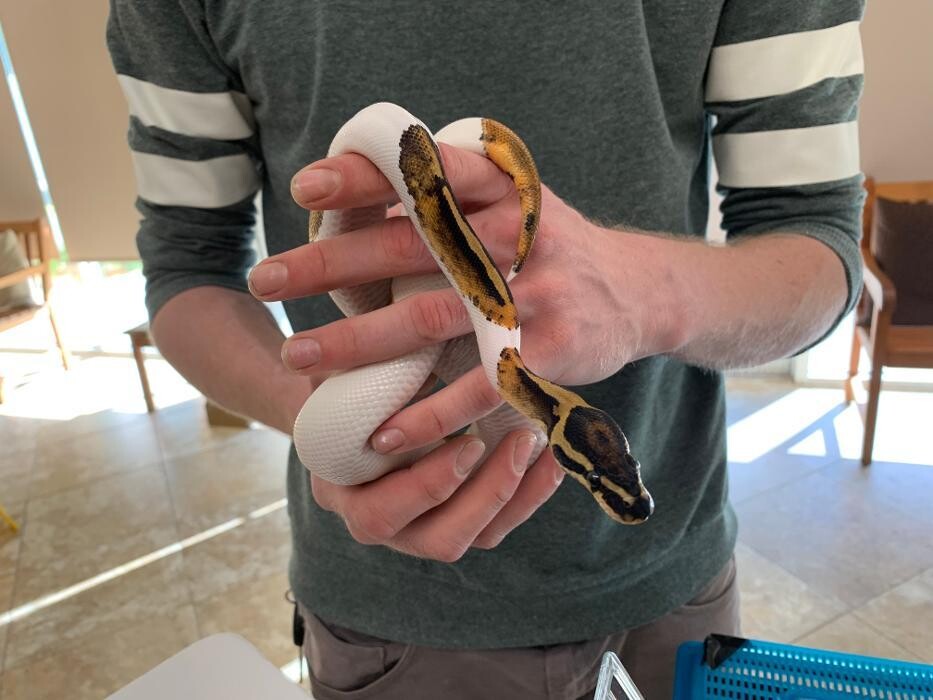 Images Apalachee Ridge Animal Hospital