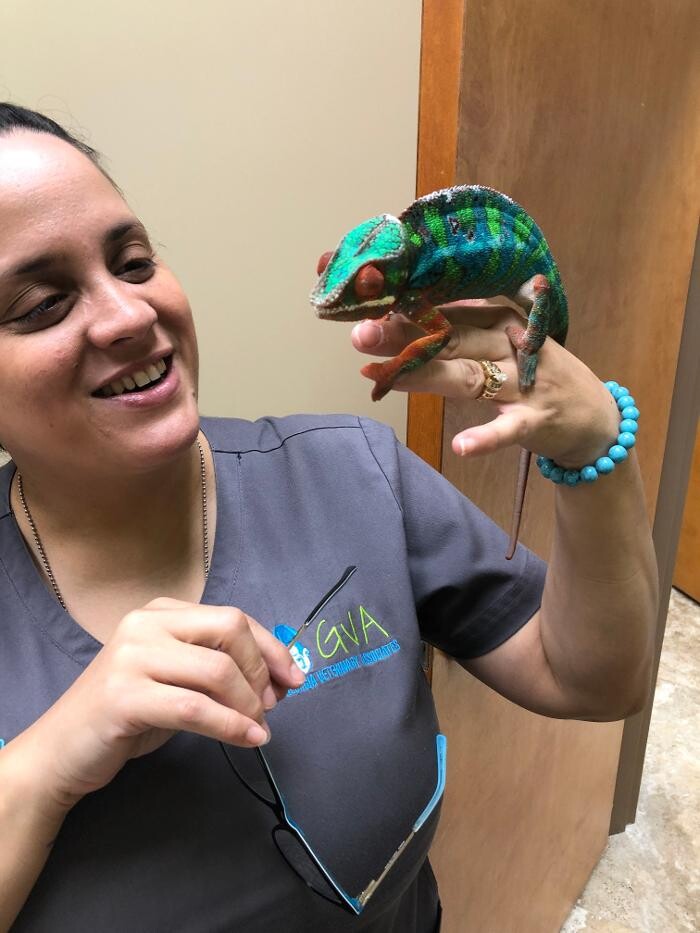 Images Apalachee Ridge Animal Hospital