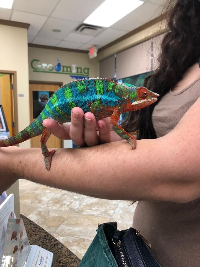 Images Apalachee Ridge Animal Hospital