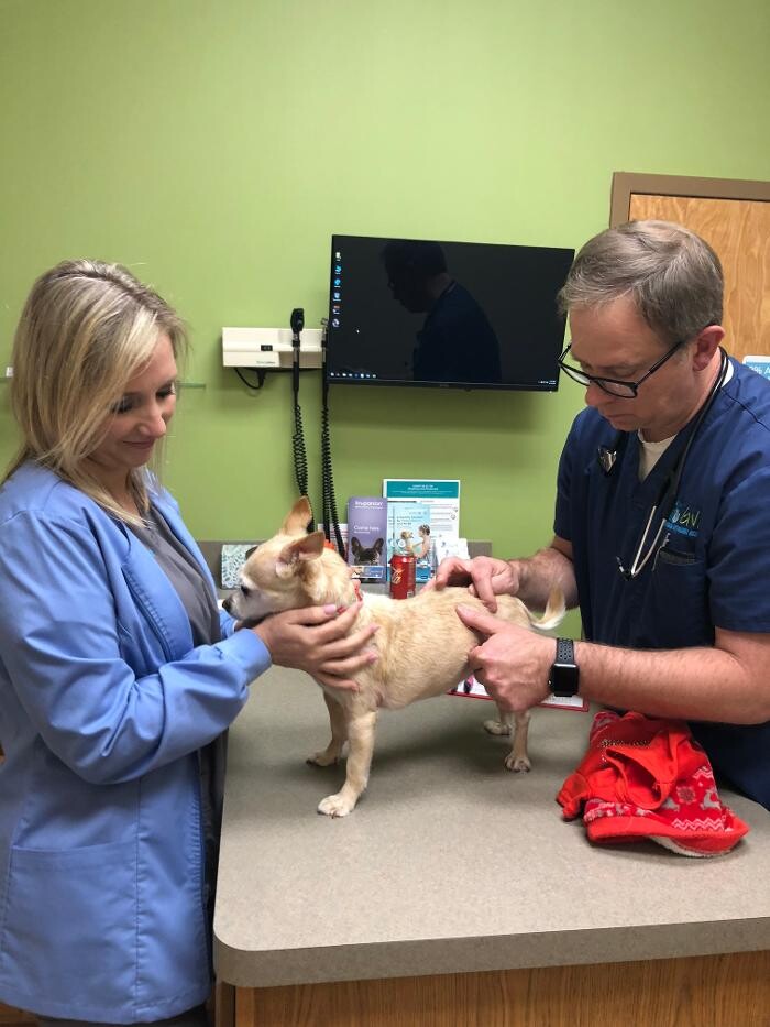 Images Apalachee Ridge Animal Hospital