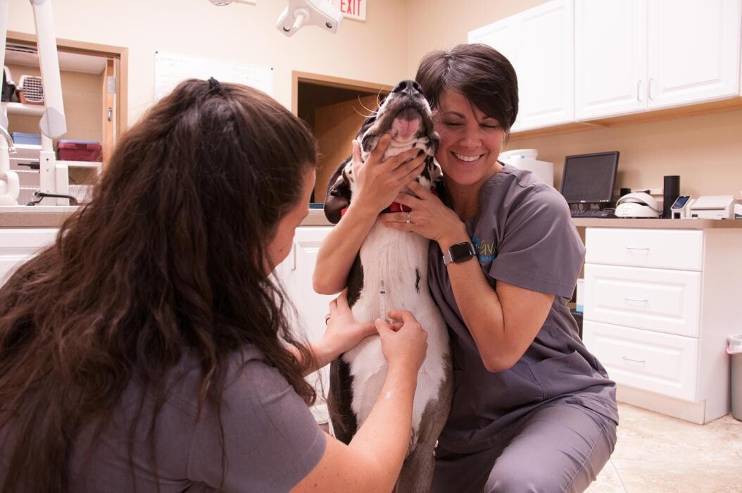 Images Apalachee Ridge Animal Hospital