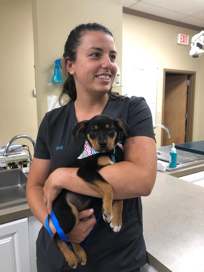 Images Apalachee Ridge Animal Hospital