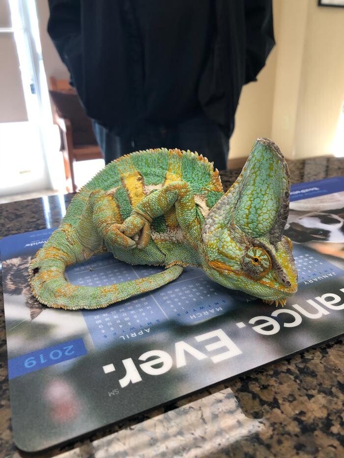 Images Apalachee Ridge Animal Hospital