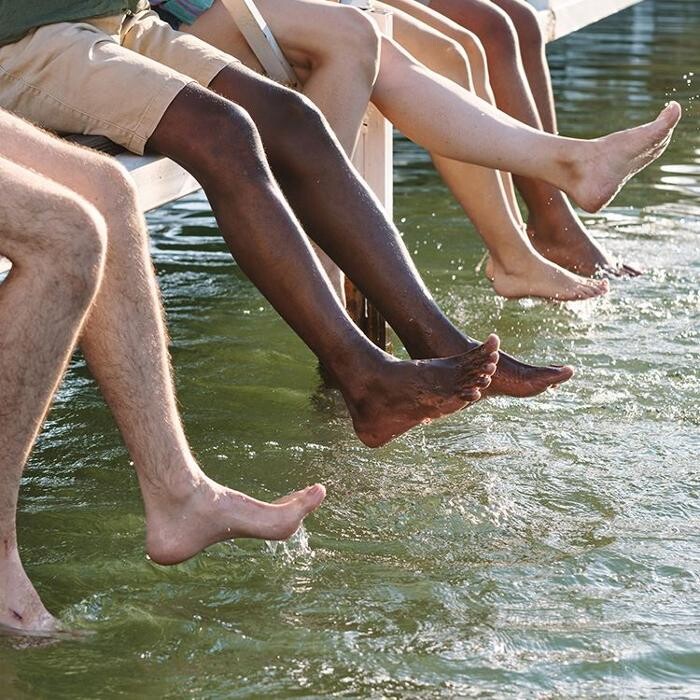 Images Albert Vein Institute