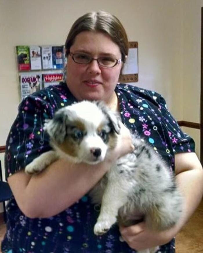 Images North Main Animal Clinic