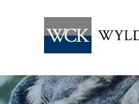 Website Screenshot Wylder Corwin Kelly LLP