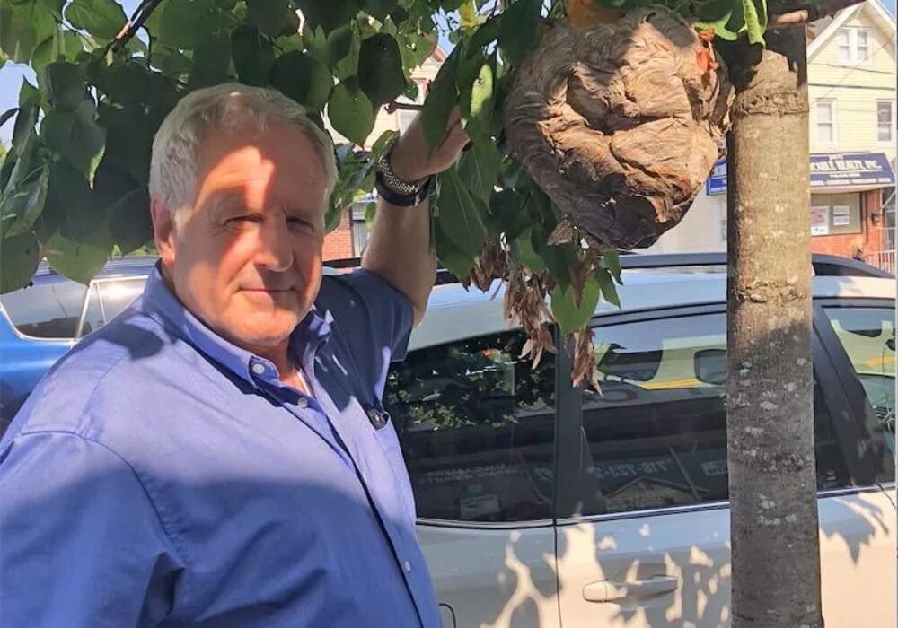 Images Inter-County Exterminators, Inc.