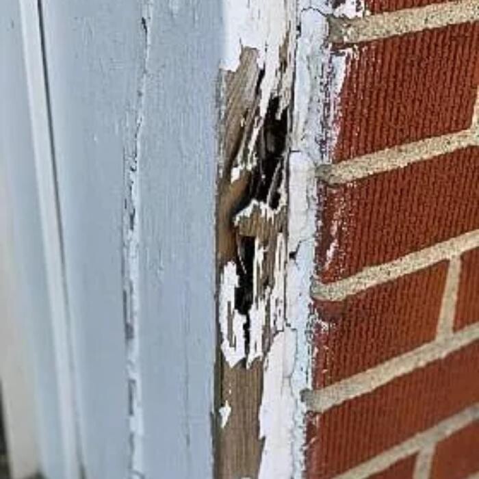 Images Inter-County Exterminators, Inc.