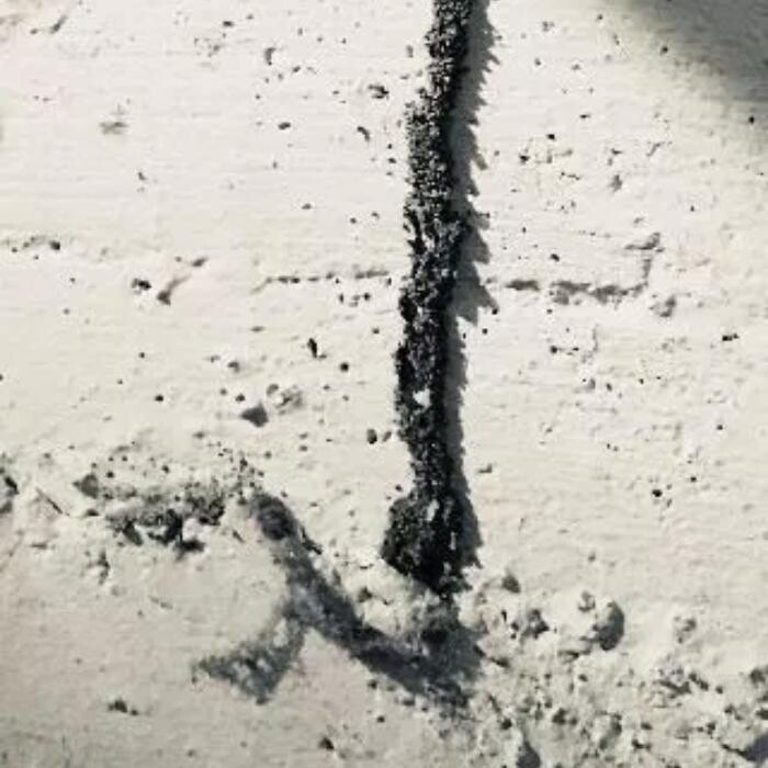 Images Inter-County Exterminators, Inc.