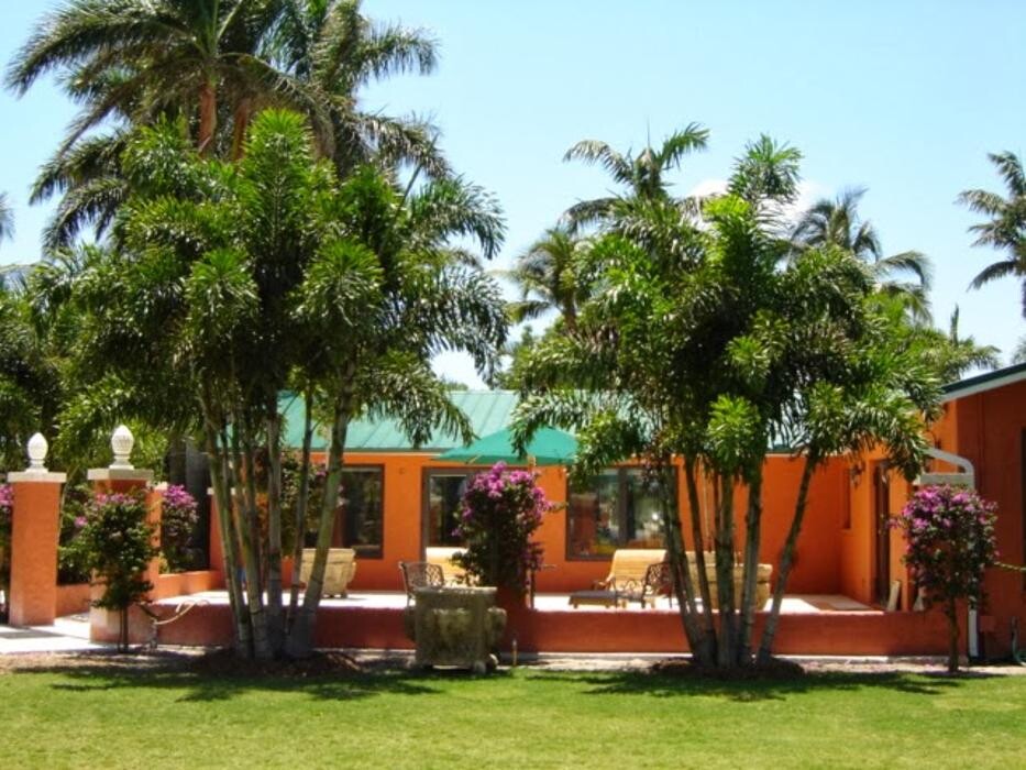 Images Palm Trees Direct