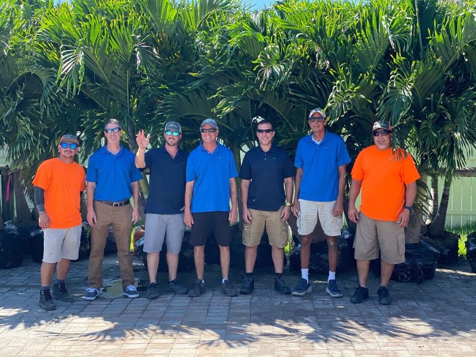 Images Palm Trees Direct