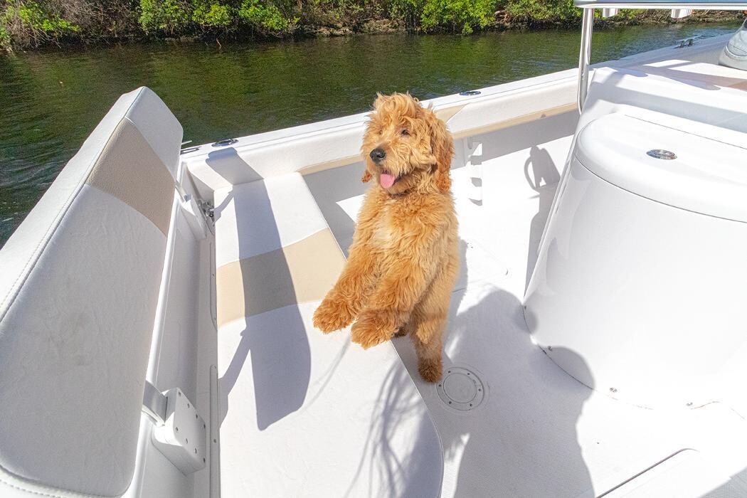Images Nautical Ventures - Fort Lauderdale