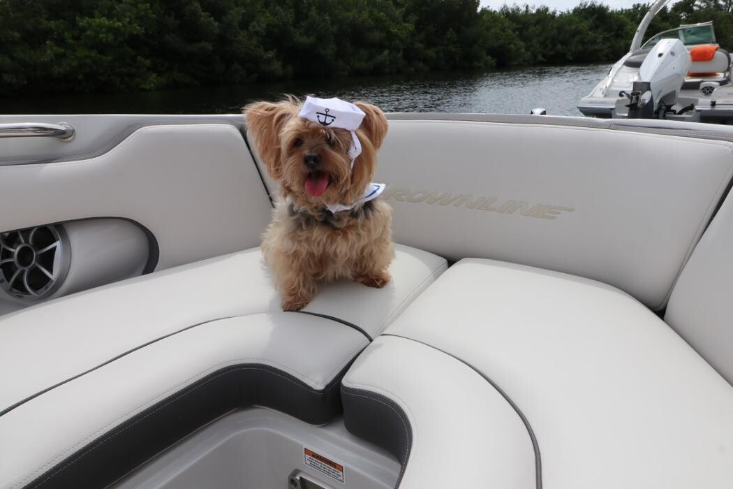 Images Nautical Ventures - Fort Lauderdale