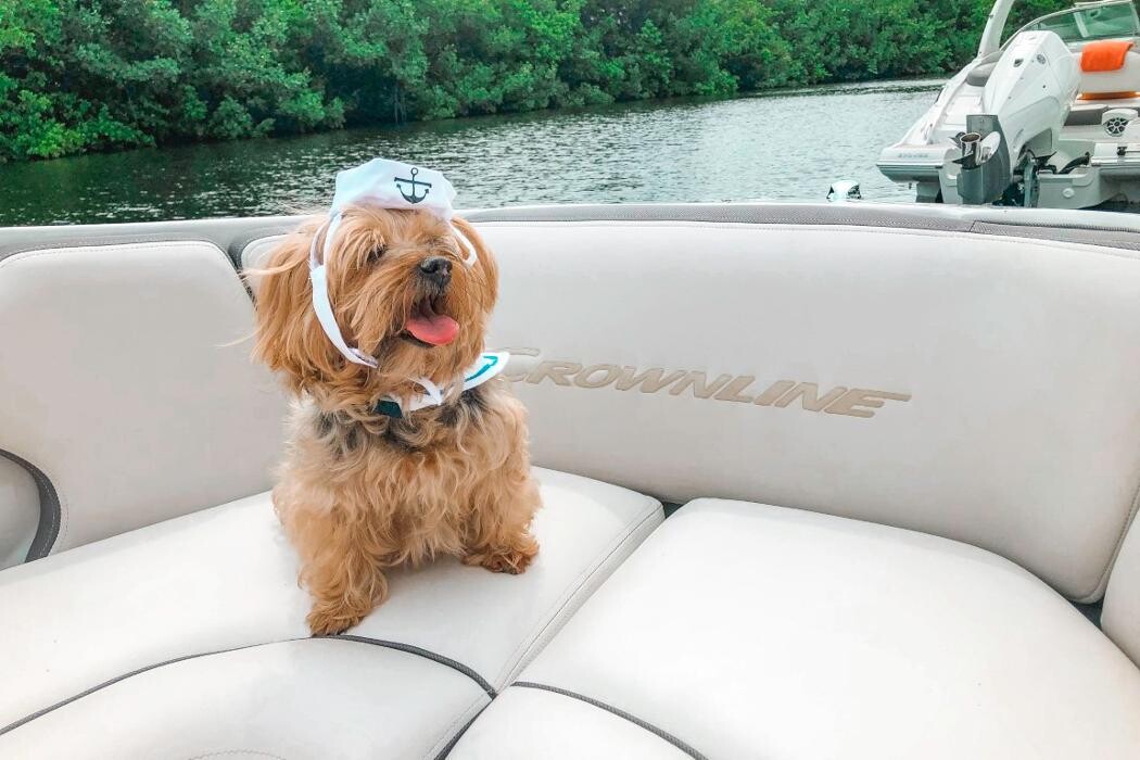Images Nautical Ventures - Fort Lauderdale