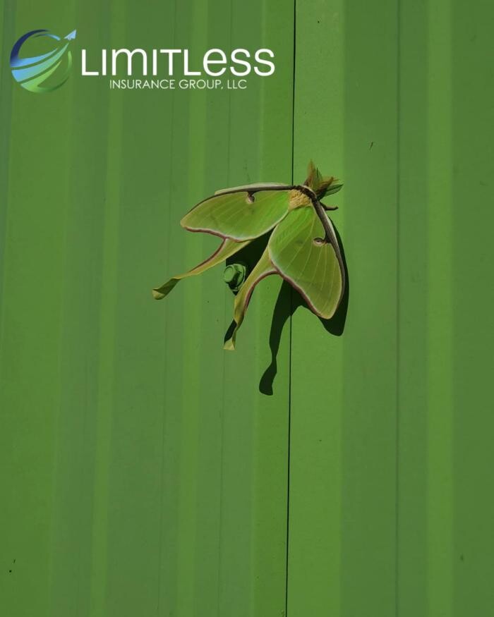 Images Limitless Insurance Group