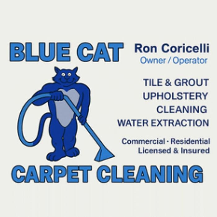 Bluecat Tile & Grout Logo