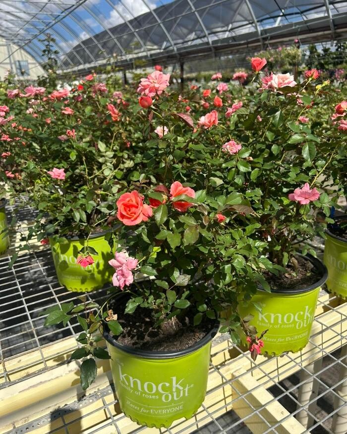 Images Johansen Landscape & Nursery