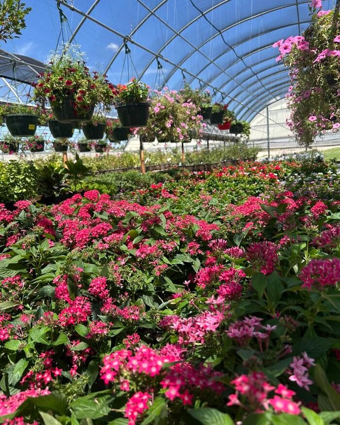 Images Johansen Landscape & Nursery