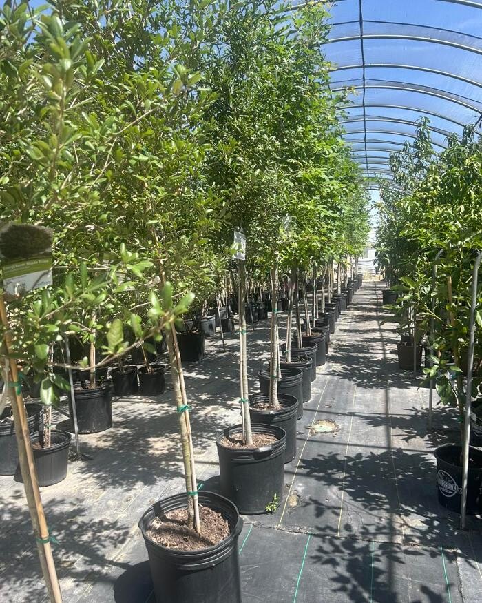 Images Johansen Landscape & Nursery
