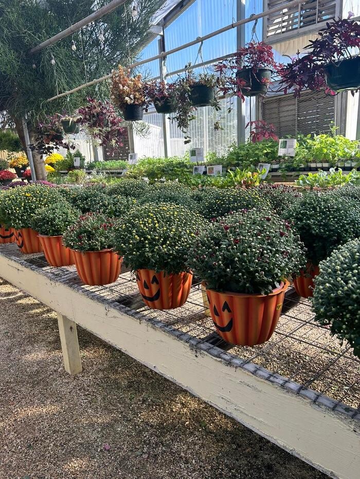 Images Johansen Landscape & Nursery