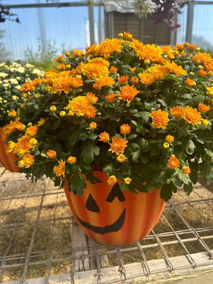 Images Johansen Landscape & Nursery
