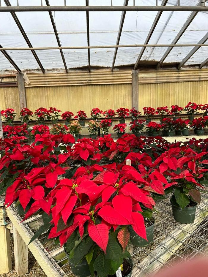 Images Johansen Landscape & Nursery