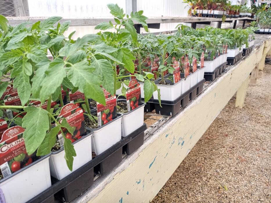 Images Johansen Landscape & Nursery