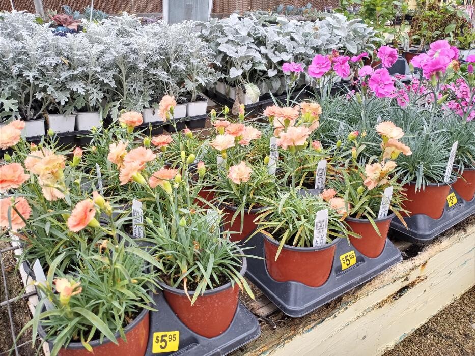 Images Johansen Landscape & Nursery