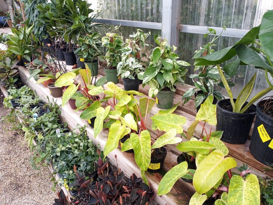 Images Johansen Landscape & Nursery