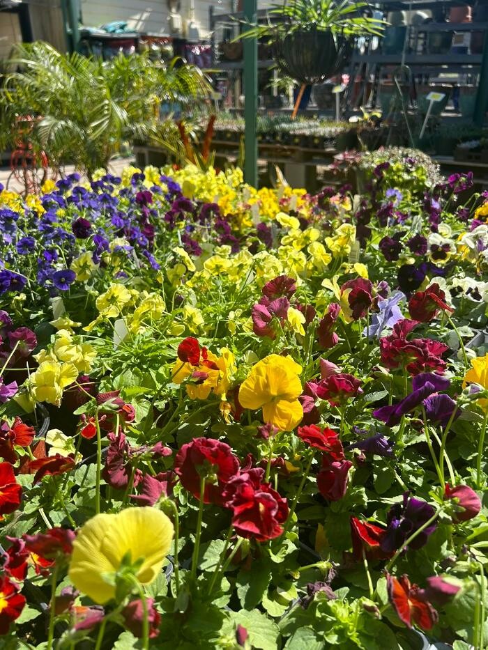Images Johansen Landscape & Nursery