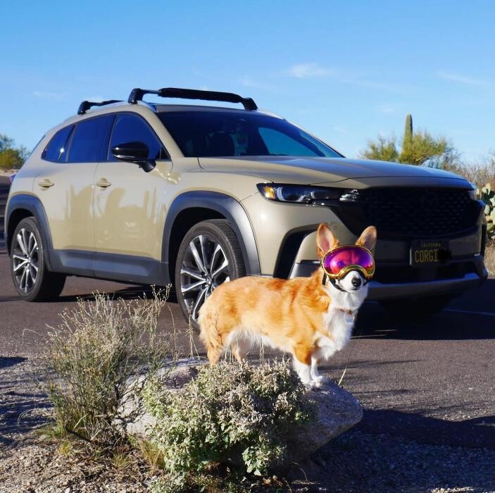 Images South Bay Mazda