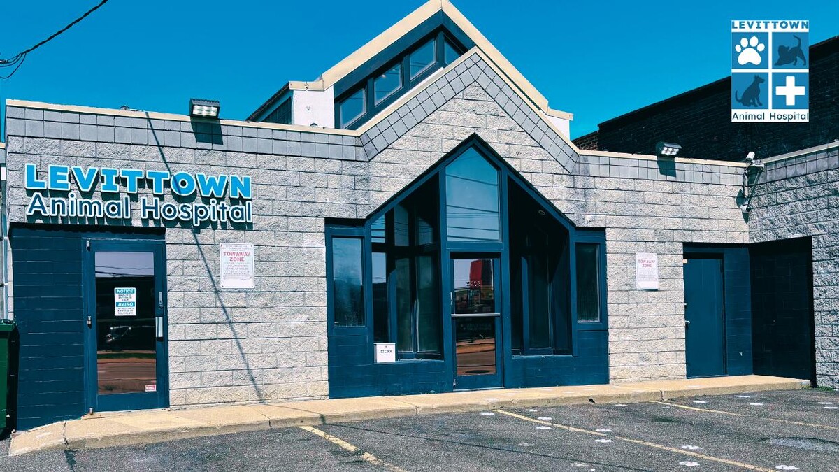 Images Levittown Animal Hospital