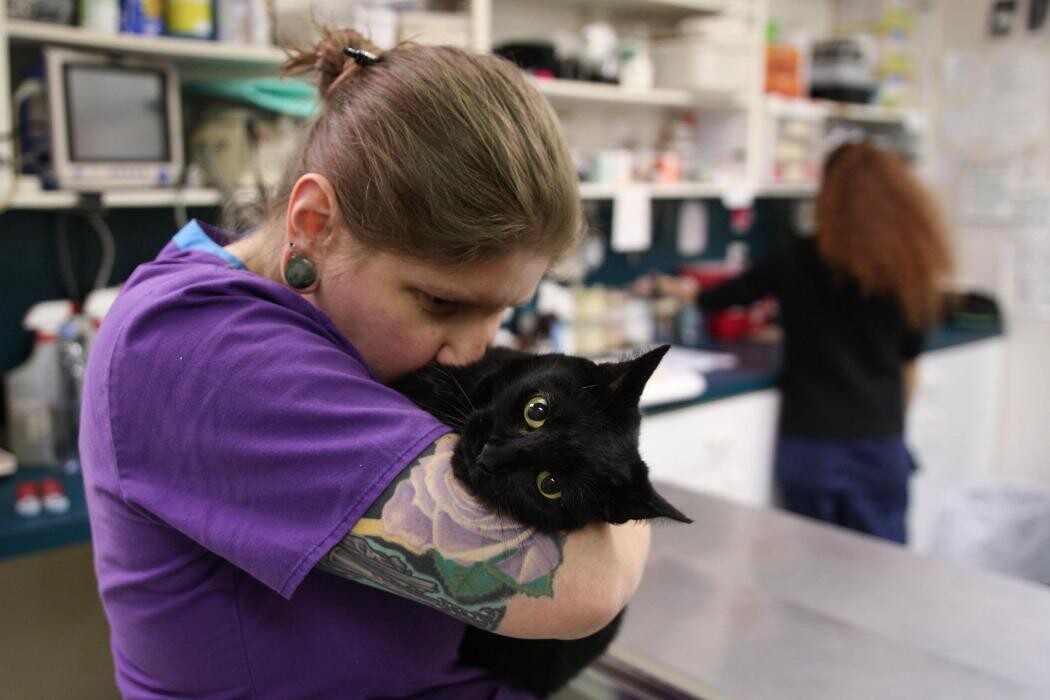 Images Levittown Animal Hospital