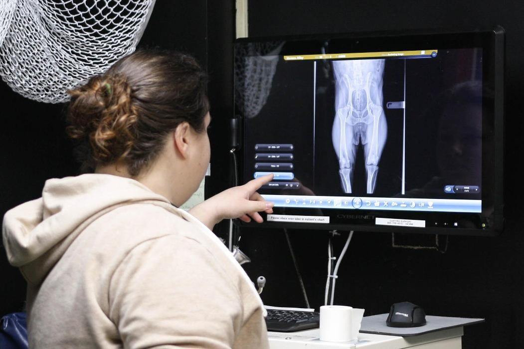 Images Levittown Animal Hospital