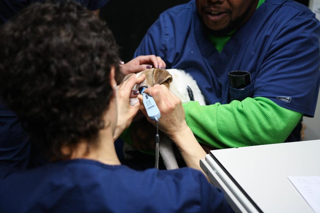 Images Levittown Animal Hospital