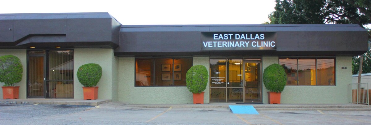 Images East Dallas Veterinary Clinic