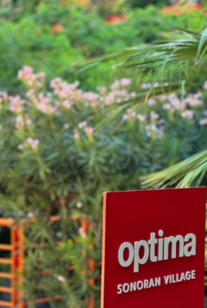 Images Optima Sonoran Village
