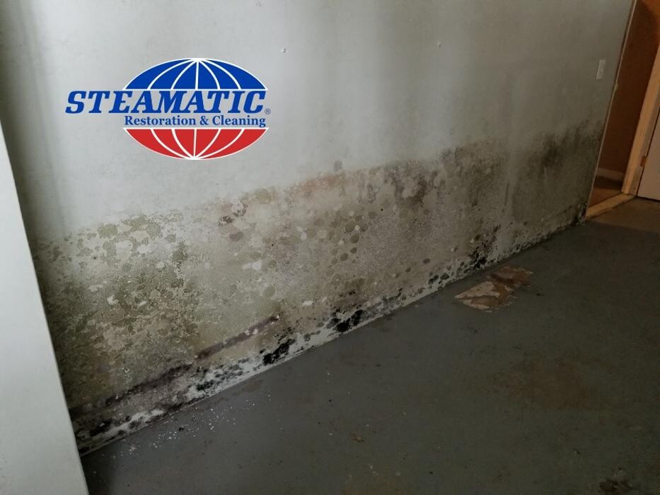 Images Steamatic of Fargo