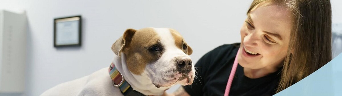 Images Ridgeview Animal Hospital