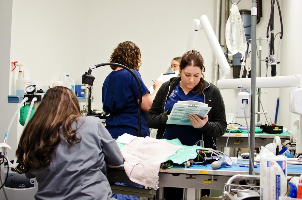 Images Ridgeview Animal Hospital